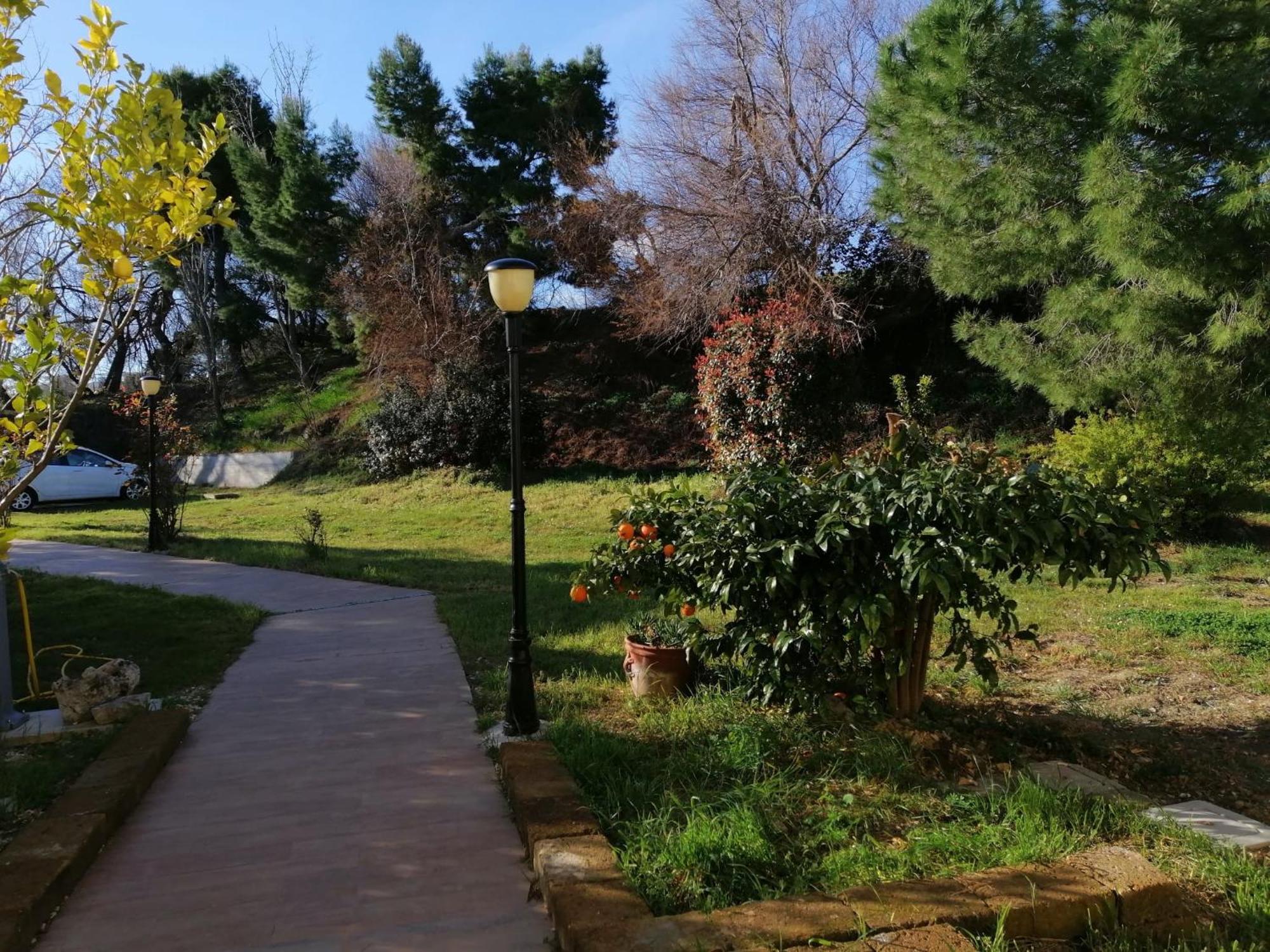 Le Tamerici B&B Ancona Bagian luar foto